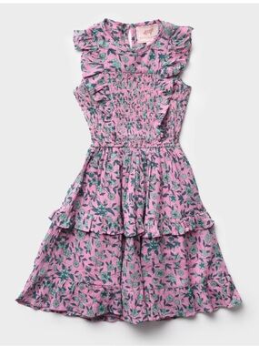 BANJANAN Chota Iris dress. Size 4.